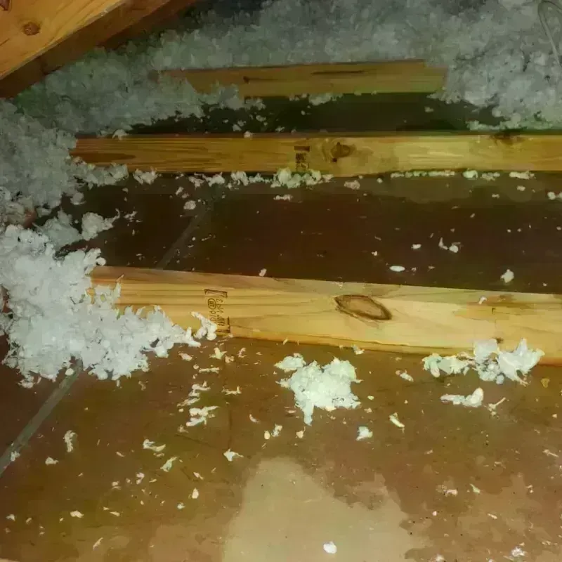 Attic Water Damage in Upper Lake, CA